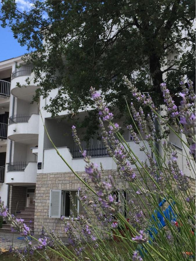 Apartmani Ana 马林斯卡 外观 照片